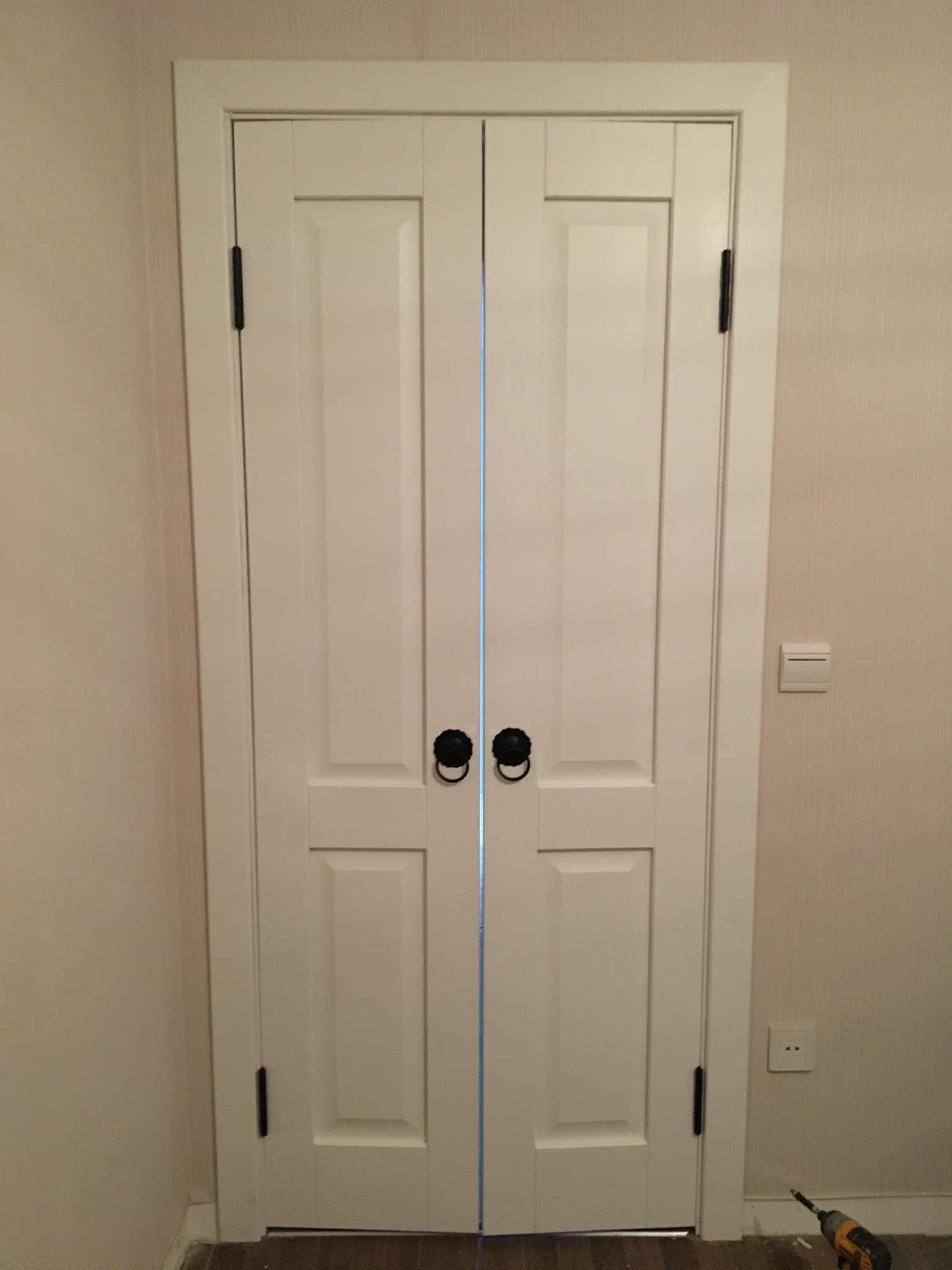 Classic Double Panel Door